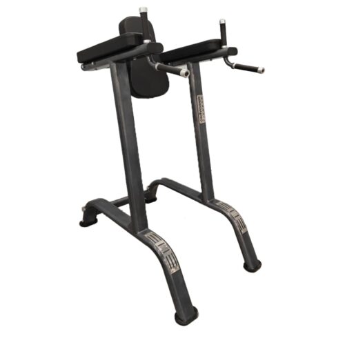 CF 4010 Vertical Knee Raise / Dip Stand