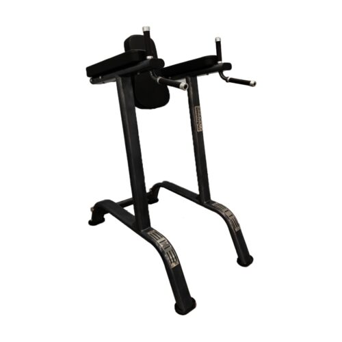 CF 4010 Vertical Knee Raise / Dip Stand