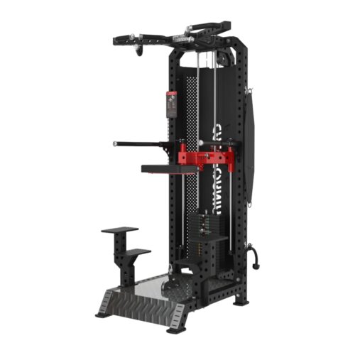 CL 1020 Dip Chin Assist