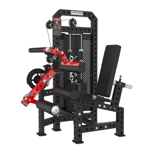 CL 1028 Seated Leg Curl / Leg Extension