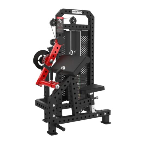 CL 1033 Bicep / Tricep