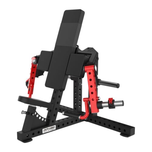 CL 1042 Arm Curl