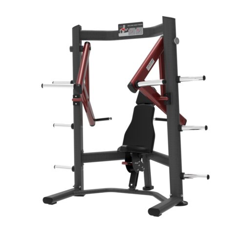 P 01 Decline Chest Press