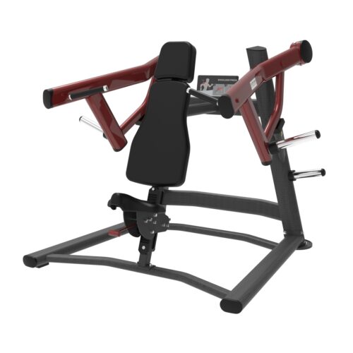 P 04 Shoulder Press