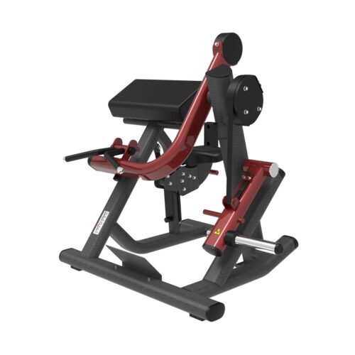 P 06 Arm Curl