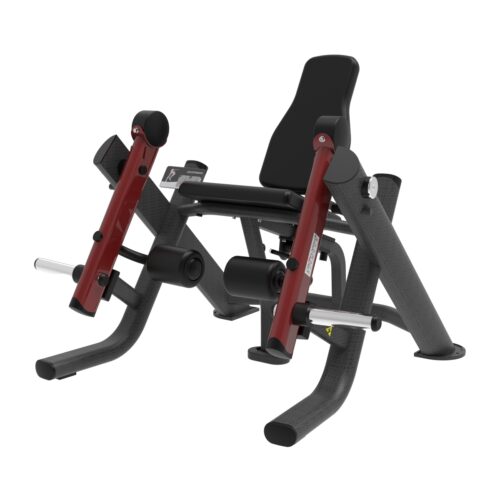 P 07 Leg Extension