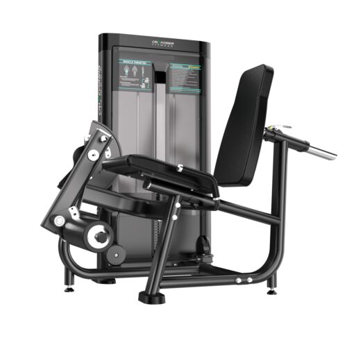 PK 3005 Leg Extension
